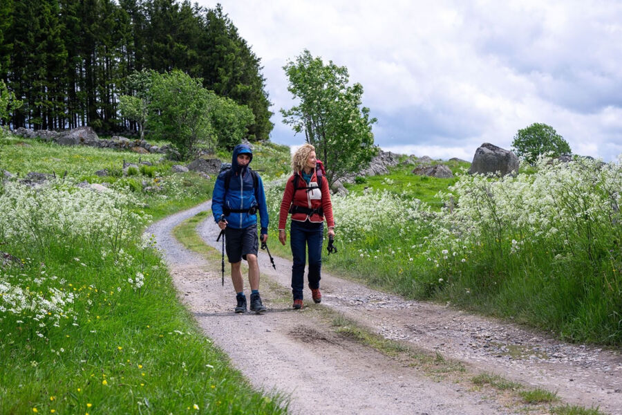 film-cafe-die-camino-therapie-finde-deinen-weg