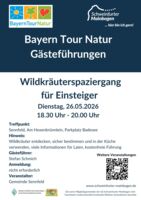 Wildkräuterspaziergang für Einsteiger im Schweinfurter Mainbogen