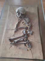 Tauberfränkisches Landschaftsmuseum Tauberbischofsheim öffnet seine Pforten