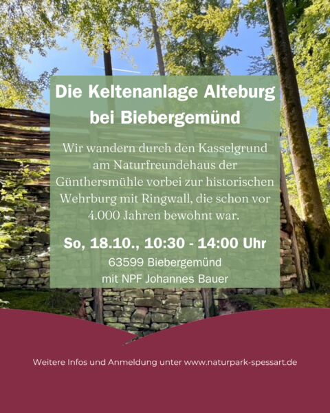 die-keltenanlage-alteburg-bei-biebergemund