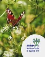 Willkommen im Reich der Schmetterlinge – Ein Garten voller Leben! - Führung
