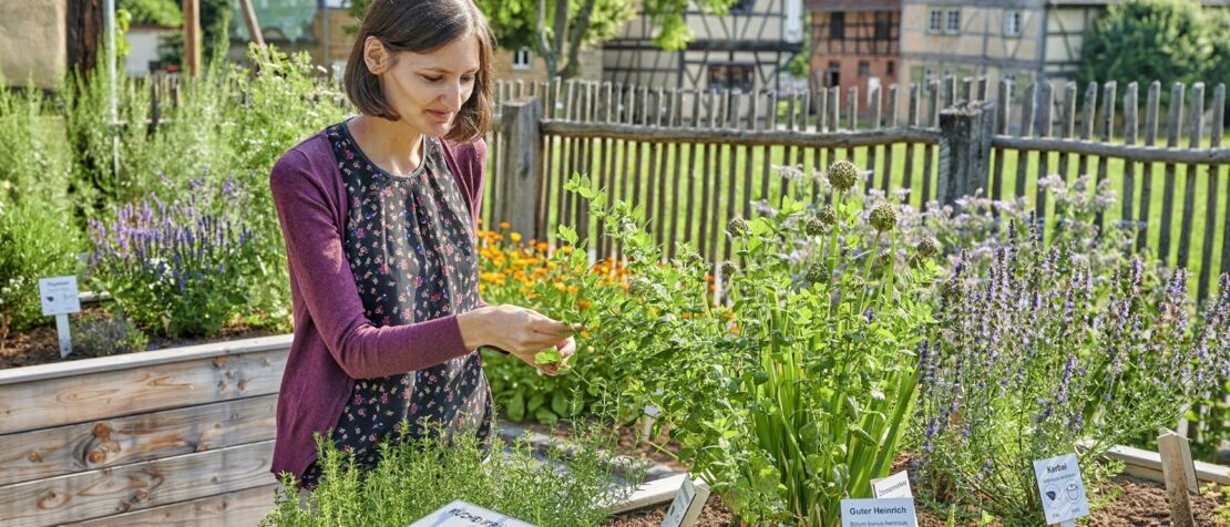 es-grunt-so-grun-pflanzen-im-dorf-und-drum-herum
