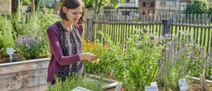 Es grünt so grün - Pflanzen im Dorf und drum herum