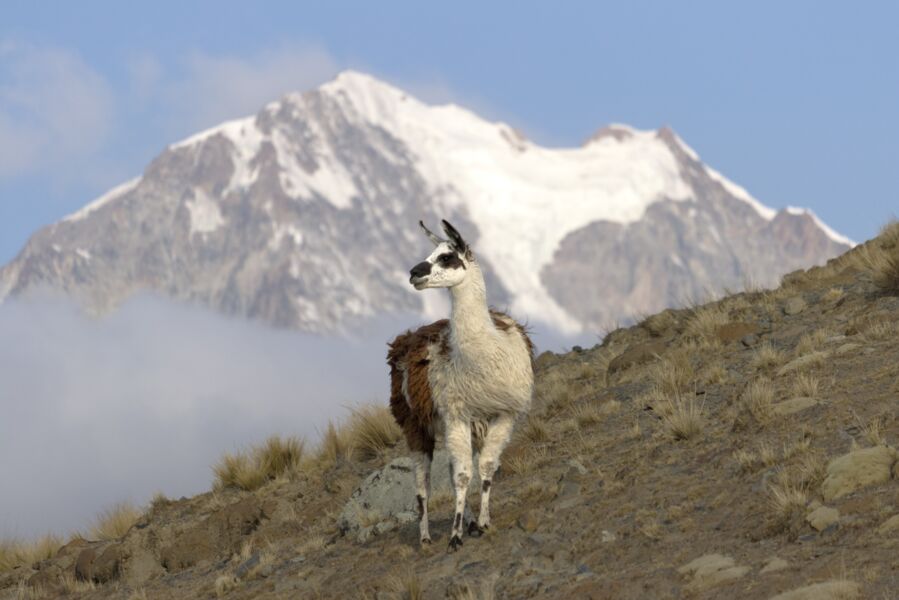 eine-fantastische-wanderreise-durch-bolivien
