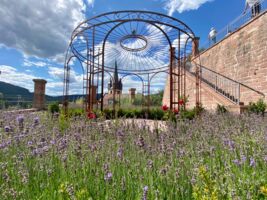 Rendezvous im Garten - Führung durch den Ronkarzgarten