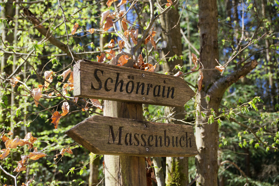 fuhrung-mit-grafin-margarethe-auf-der-ruine-schonrain