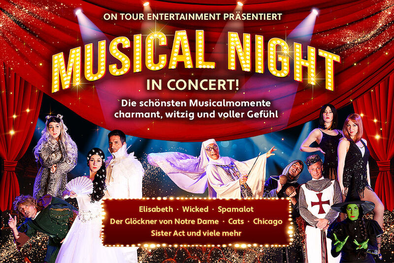 musical-night-in-concert