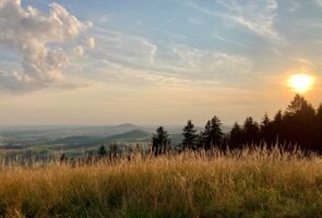 Rotmilanführung zum Gipfel der Platzer Kuppe - Geführte Wanderung mit Ranger Leonard Helfrich