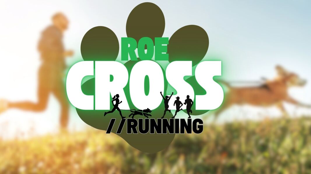 roe-cross-canicross-fruhlingslauf-fur-laufer-walker-der-region
