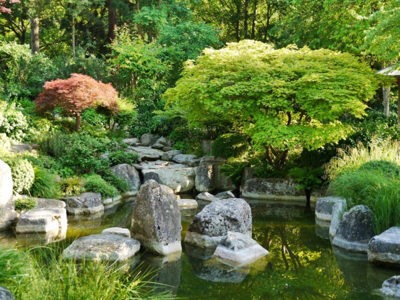 prima-klima-baume-in-der-stadt