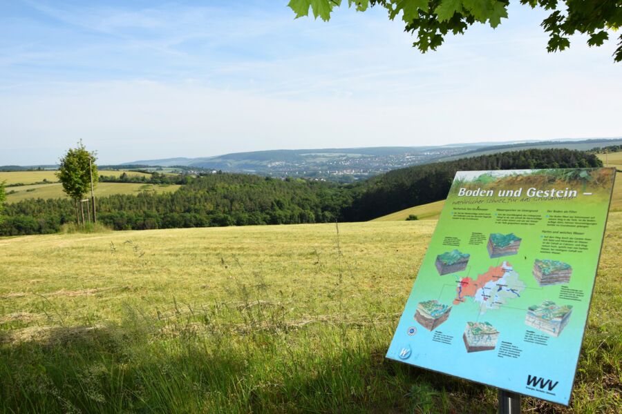 fuhrung-durch-das-zeller-wasserschutzgebiet