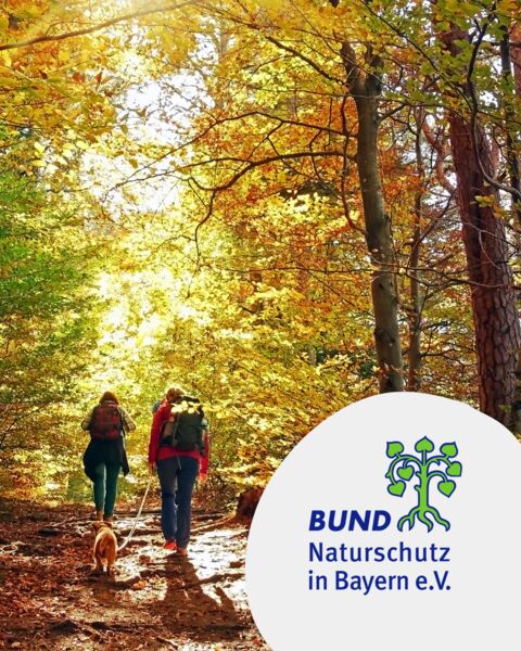 zwischen-wengert-und-kiefern-bei-erlabrunn-und-margetshochheim-kulturokologische-wanderung