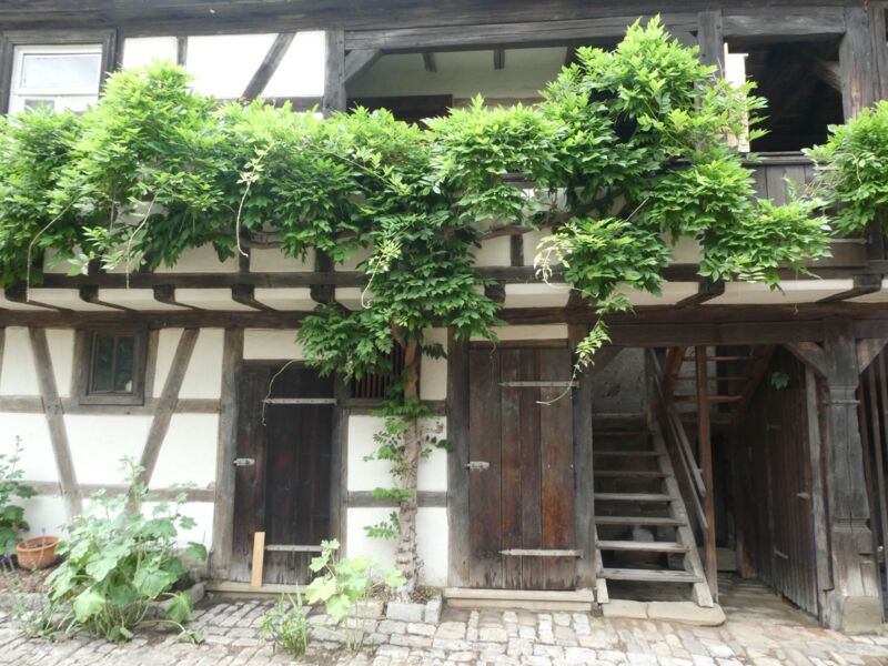 offentliche-fuhrung-im-kunstlerhof-oberndorf