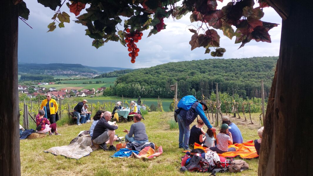 weinpicknick
