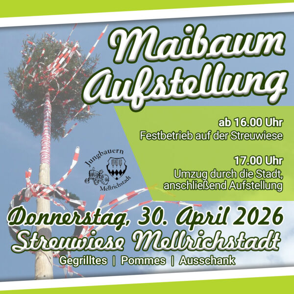 maibaumaufstellen-in-mellrichstadt