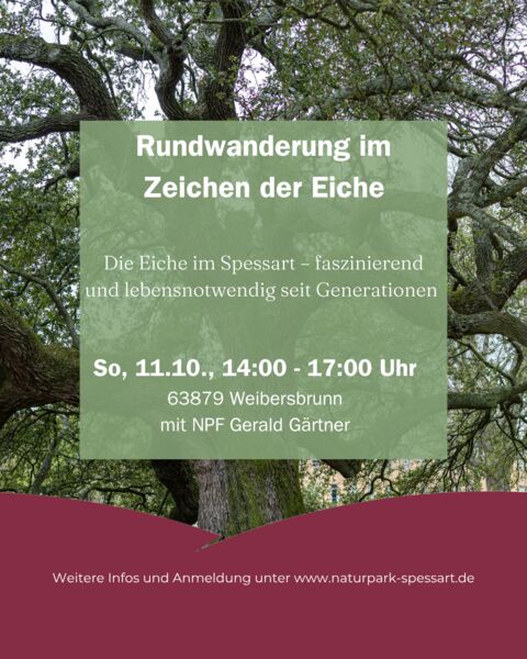 rundwanderung-im-zeichen-der-eiche